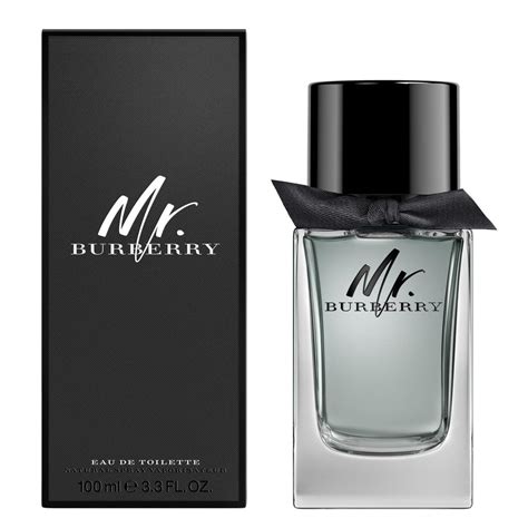 buy mr burberry online|mr burberry for men.